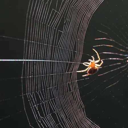 Auto Kamp Lav Holiday park Kulen Vakuf