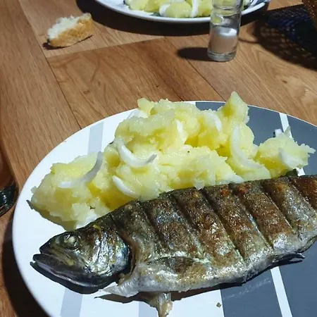 Vakantiepark Auto Kamp Lav
