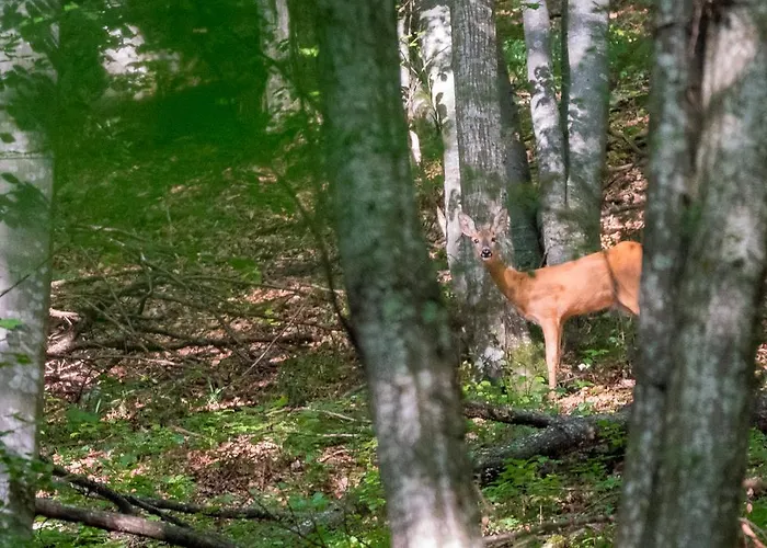 Auto Kamp Lav Prázdninový areál Kulen Vakuf